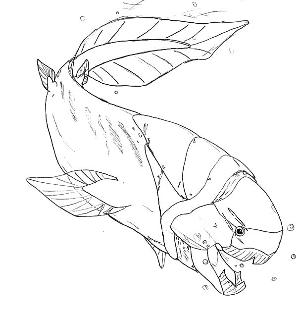 600x634 Prehistoric Monster Fish Coloring Pages Color Luna