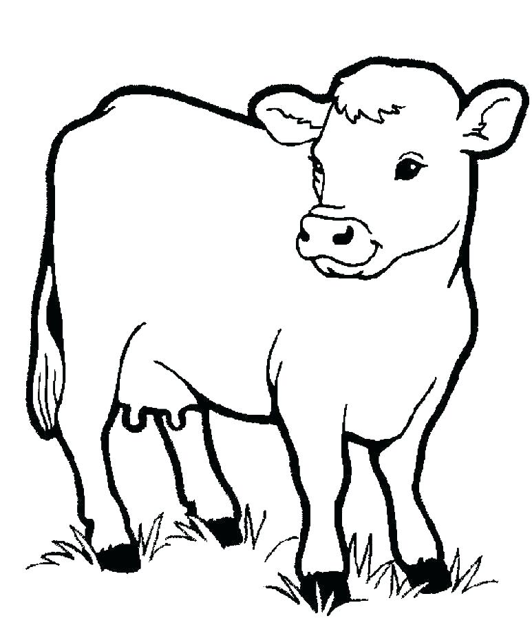 Preschool Animal Coloring Pages