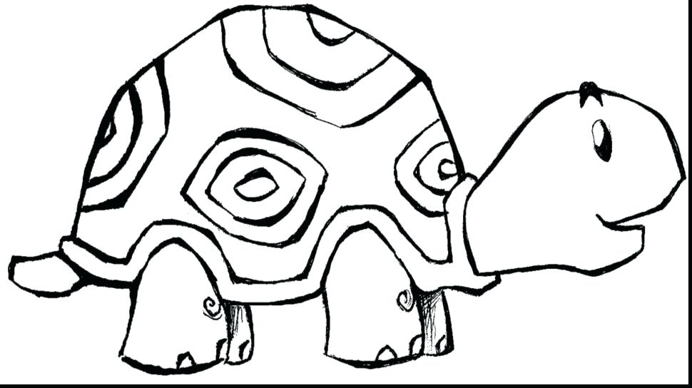 970x544 Idea Preschool Animal Coloring Pages For Best Zoo Animal Coloring