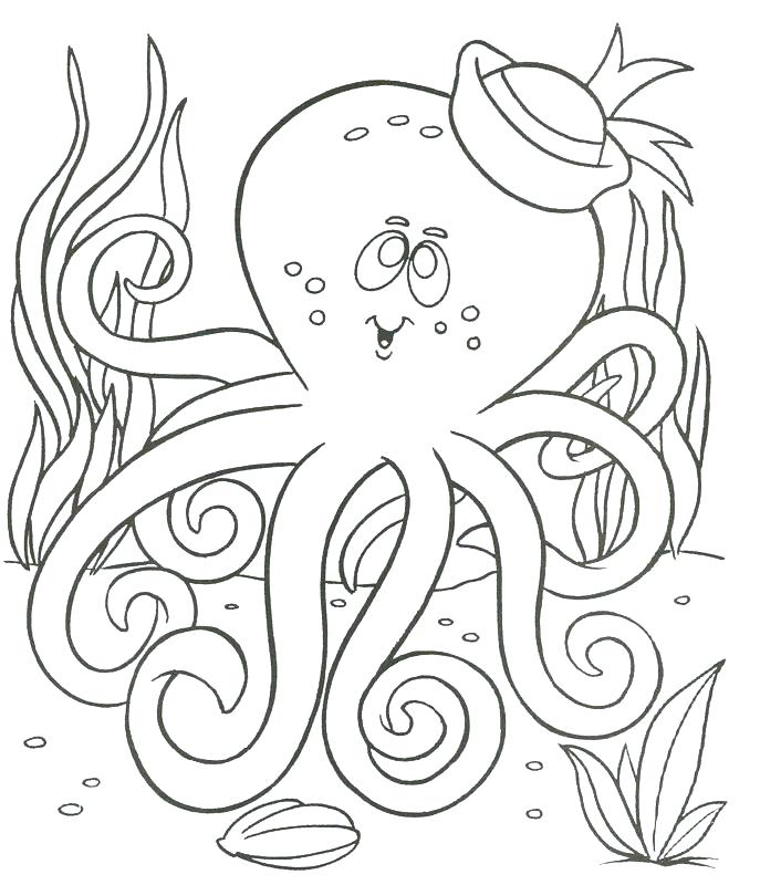 687x800 Ocean Coloring Pages Preschool Ocean Coloring Pages
