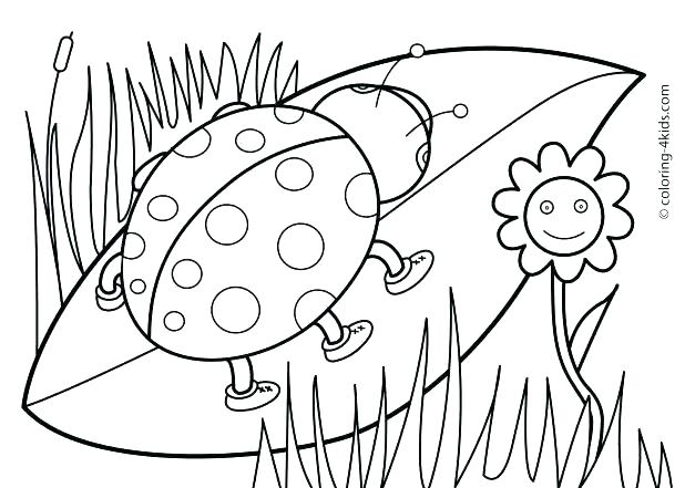 618x441 Book Coloring Pages Mesmerizing Bird Coloring Pages Coloring