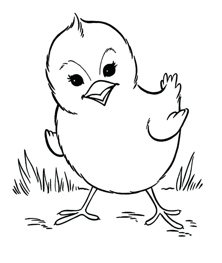 772x913 Free Farm Animal Coloring Pages Baby Farm Animal Coloring Pages
