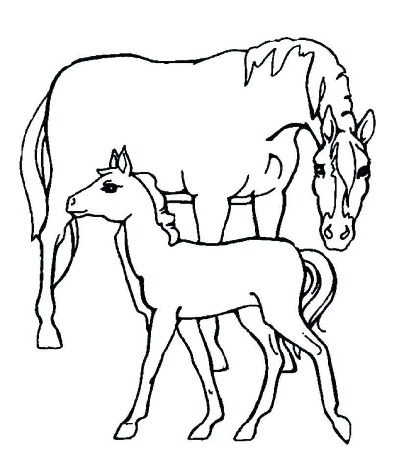 814x960 Farm Animal Coloring Page Farm Animal Coloring Pages