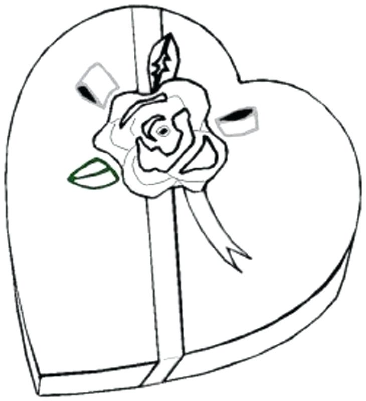 730x800 Box Coloring Page Tool Coloring Pages Box Coloring Page The Turtle