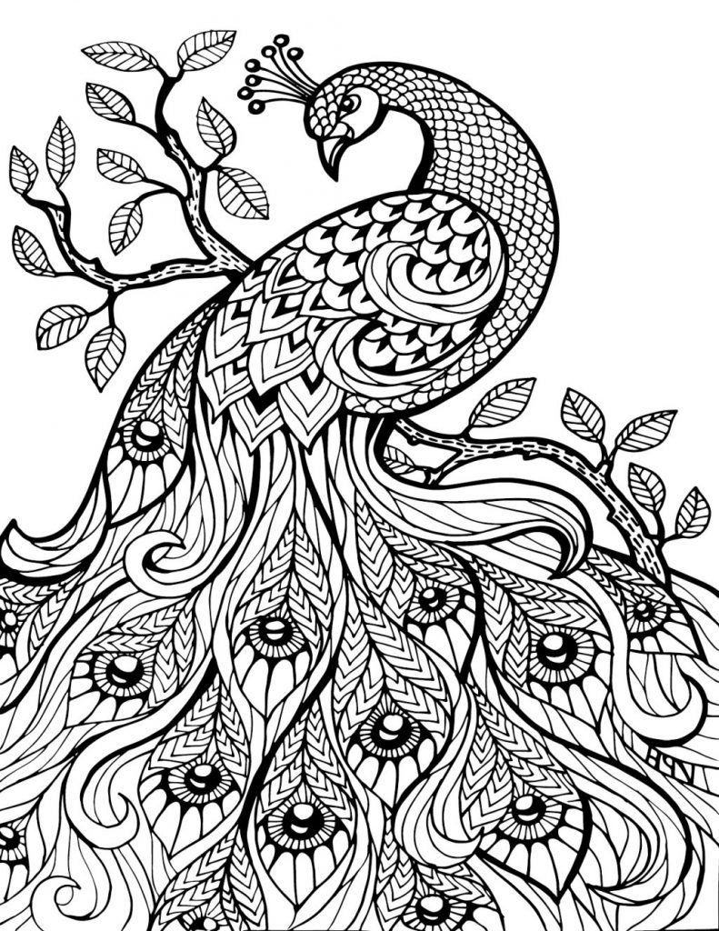 791x1024 Pretty Coloring Pages