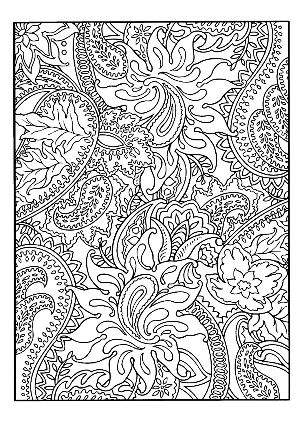 1050x1453 Pretty Patterns Plant