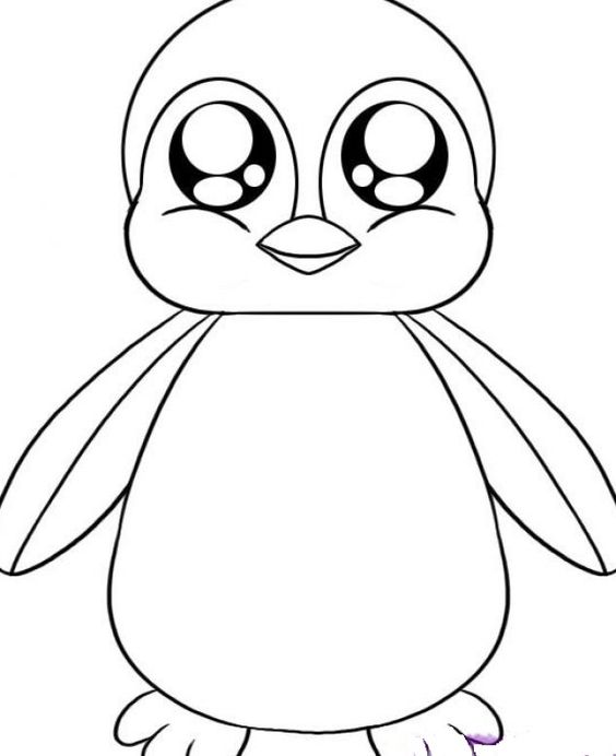 564x692 Cartoon Pictures Of Animals To Color In Cute Animal Regarding