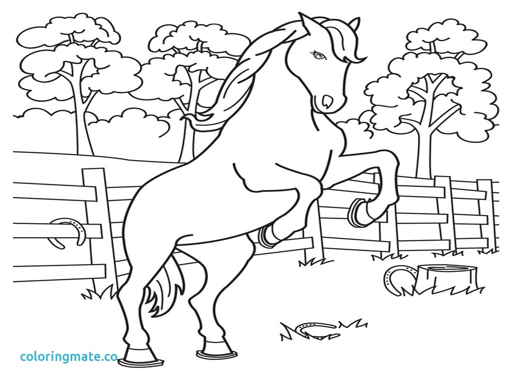 1024x768 Printable Horse Color Pages Free Coloring Pages Download
