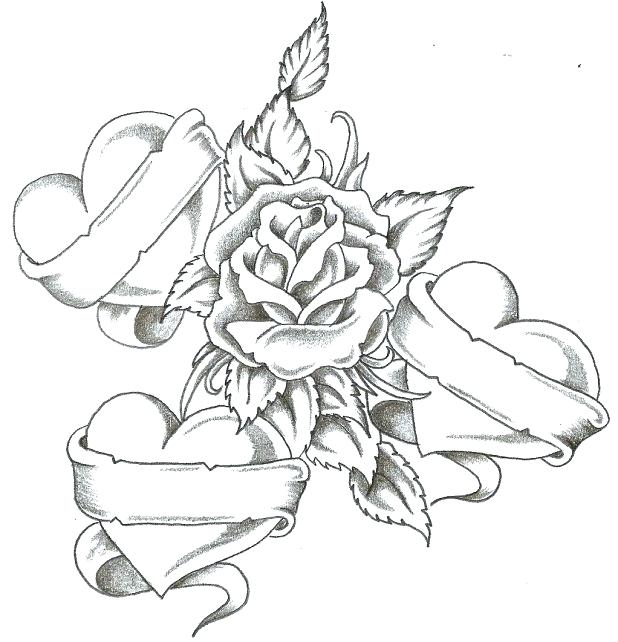 618x642 Nice Roses Coloring Pages Best And Awesome Col Unknown Nice Roses