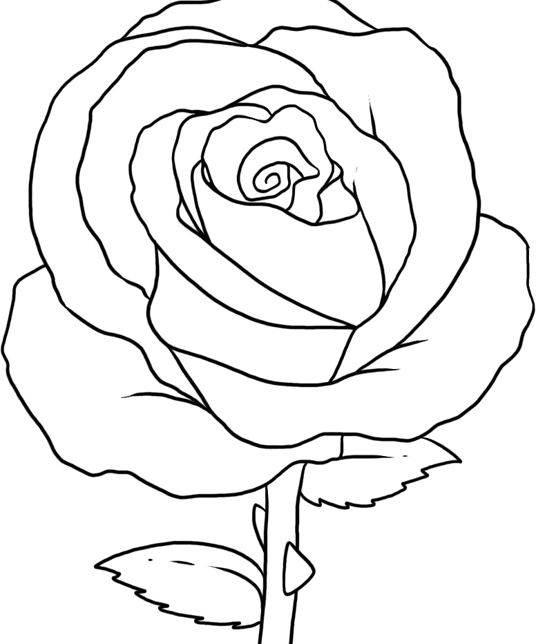 776x932 Rose Coloring Page Unique Pretty Flower Coloring Pages Az Coloring