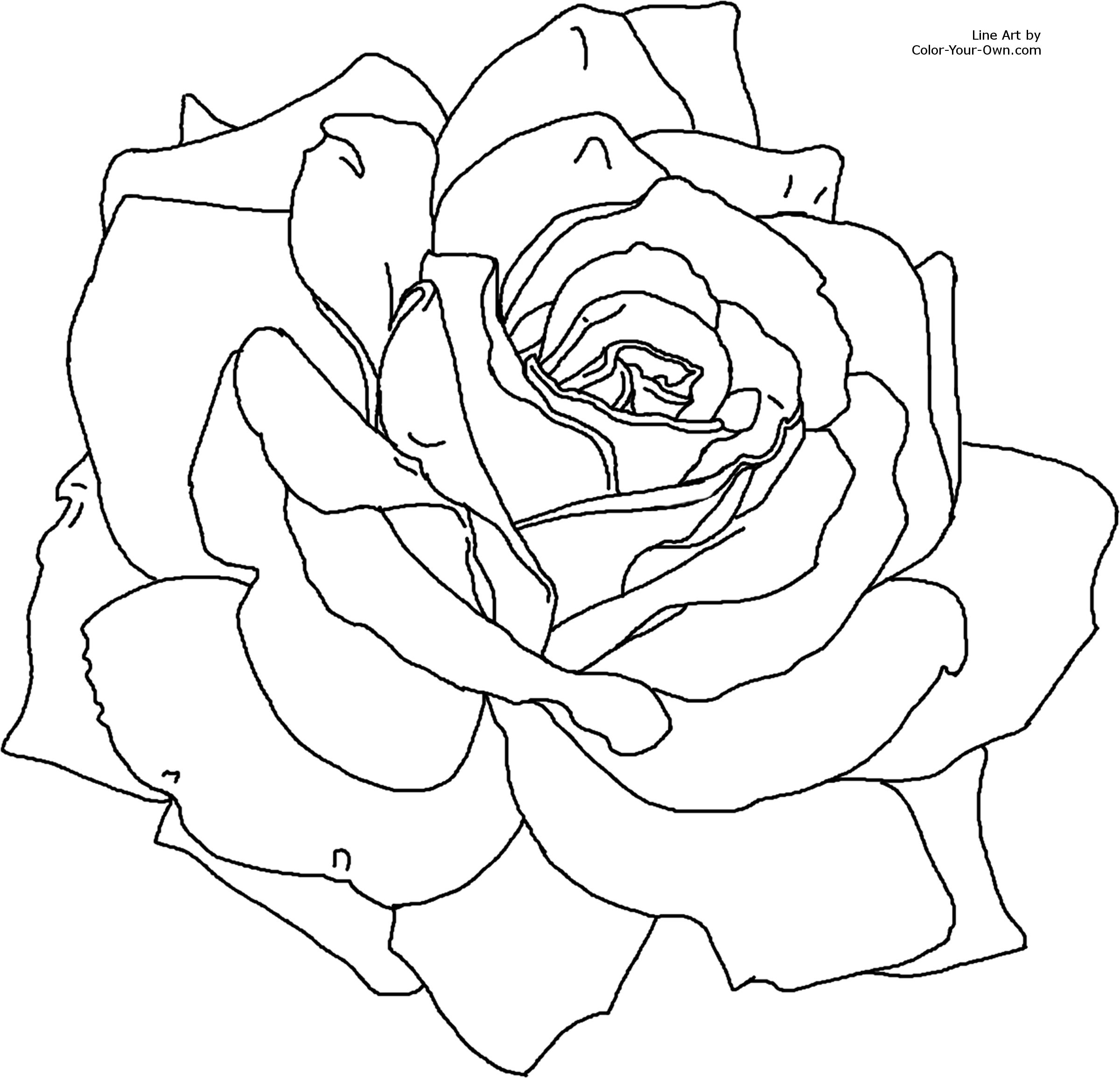 2400x2311 Rose Flower Coloring Pages Printable