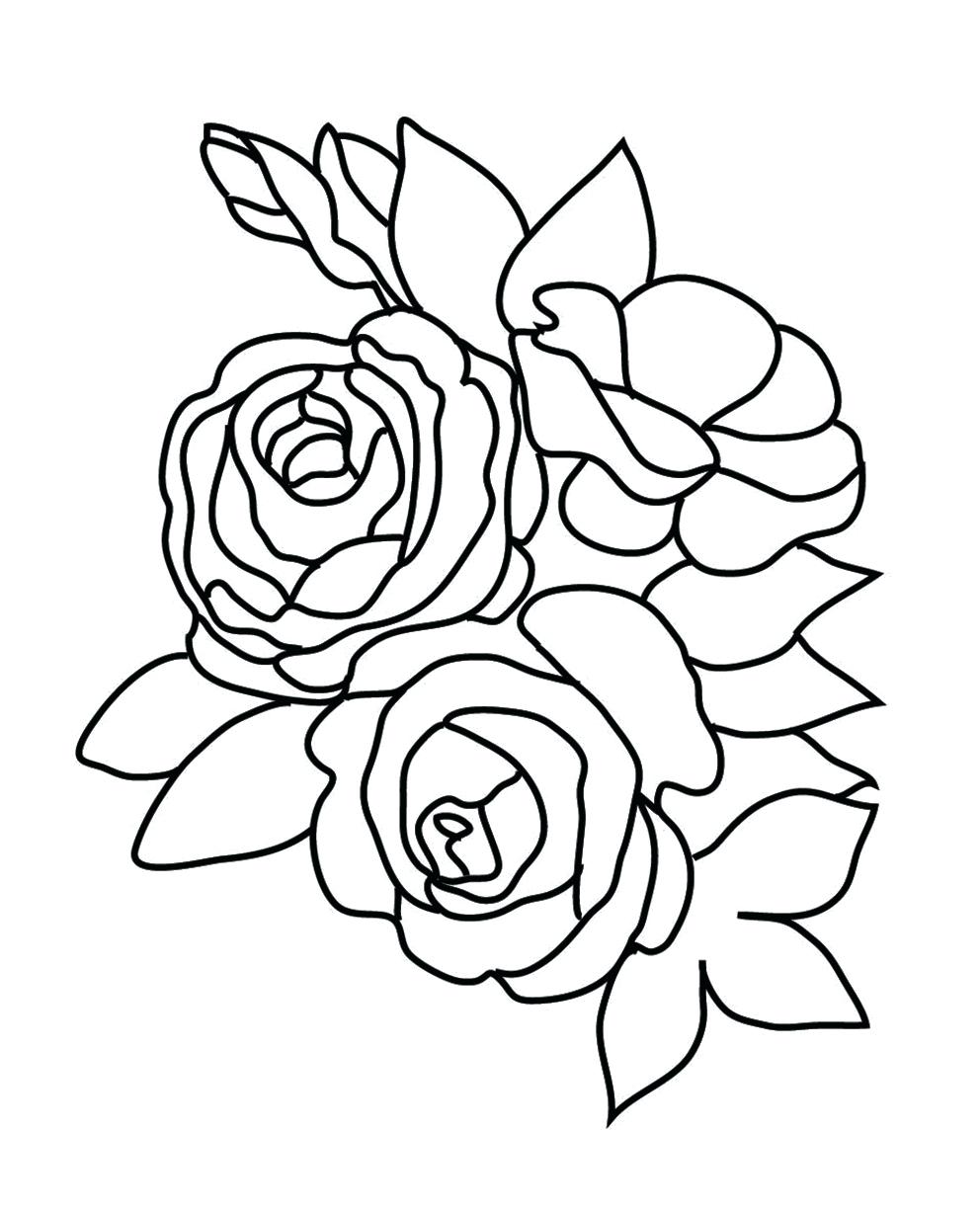 992x1226 Coloring Pages ~ Roses Coloring Pages Rose Sketch To Color Three
