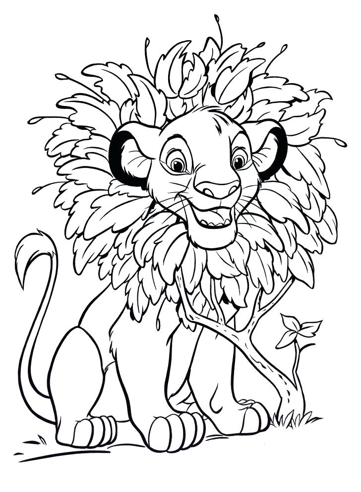 728x993 Simba Coloring Page Medium Size Of Coloring Pages With Wallpaper