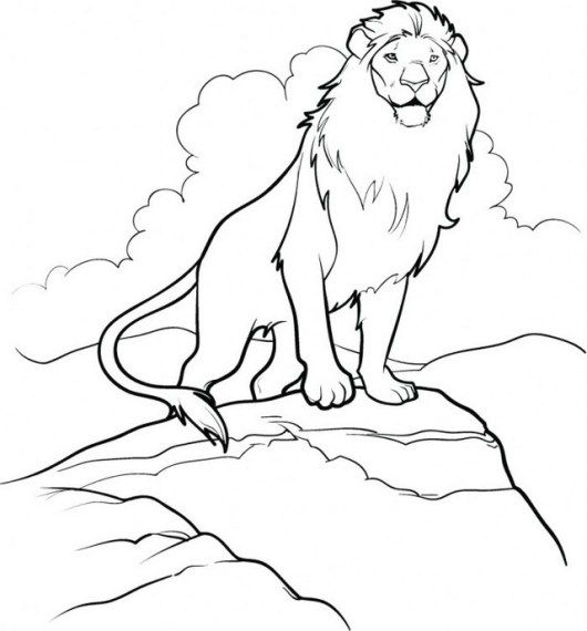 530x570 8 Best The Chronicles Narnia Coloring Pages Images