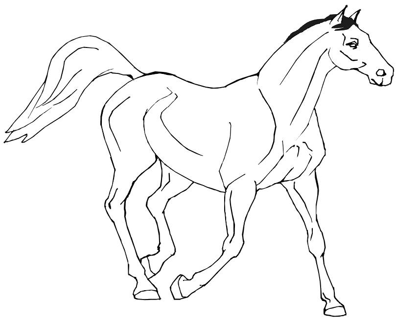 854x660 Horse Coloring Pages