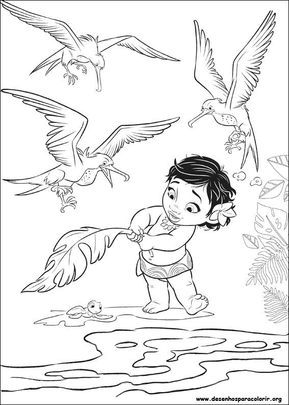 567x794 Desenho Para Imprimir ! Coloring Pages Moana