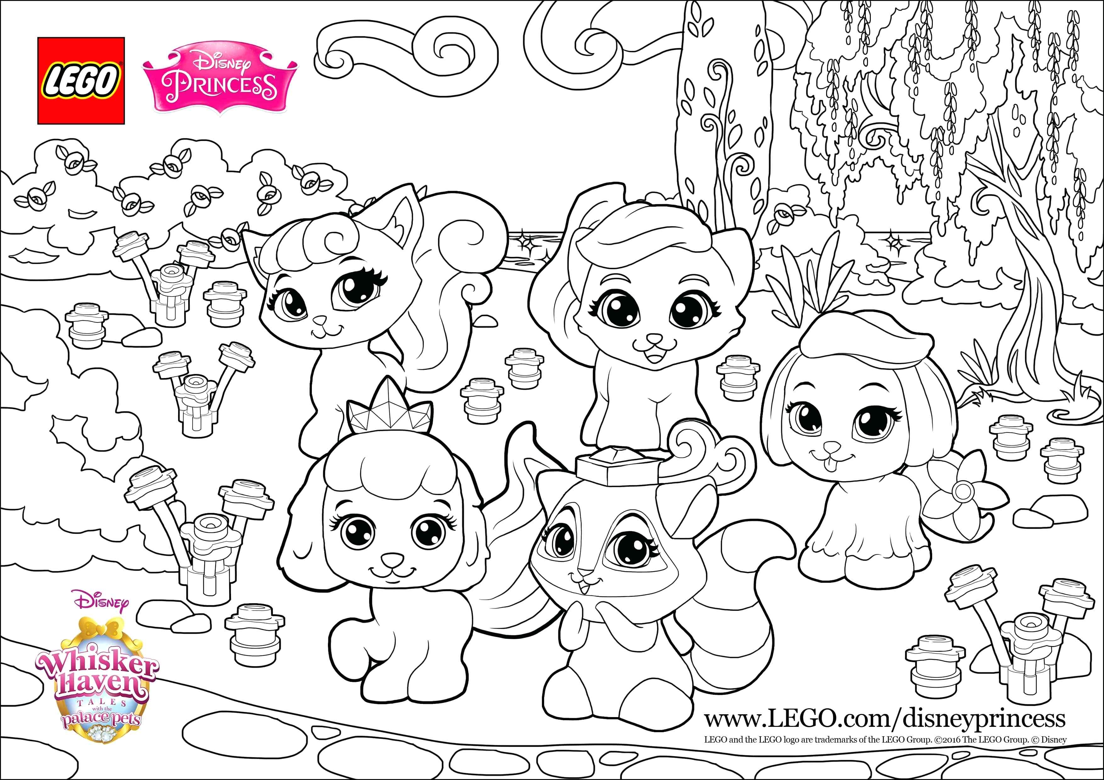 3508x2480 Coloring Pet Coloring Page To Print