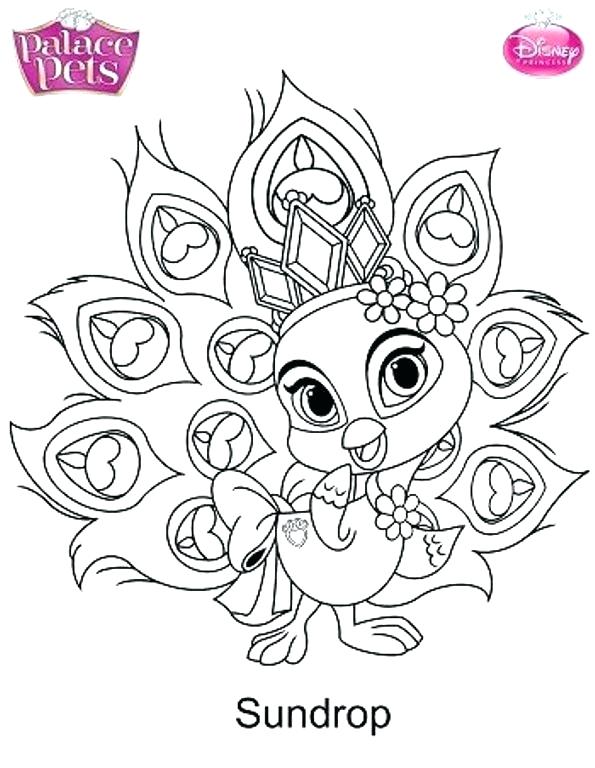 595x768 Pet Shop Coloring Pages Pet Coloring Pages Kids N Of Princess
