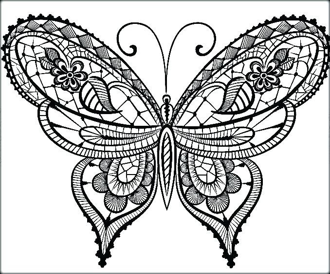 678x562 Coloring Pages Of Butterflies Butterflies Coloring Pages Butterfly