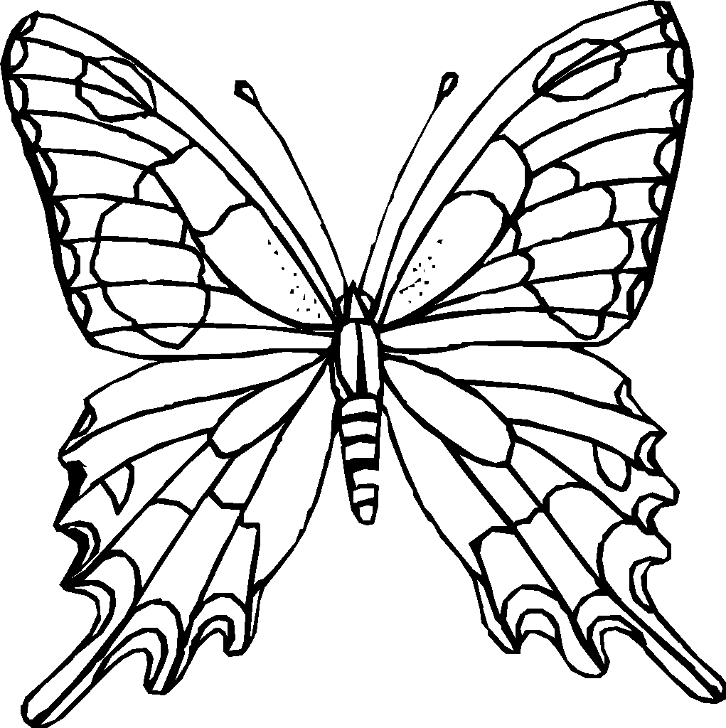 1021x1024 Difficult Coloring Pages For Adults Coloring Butterfly