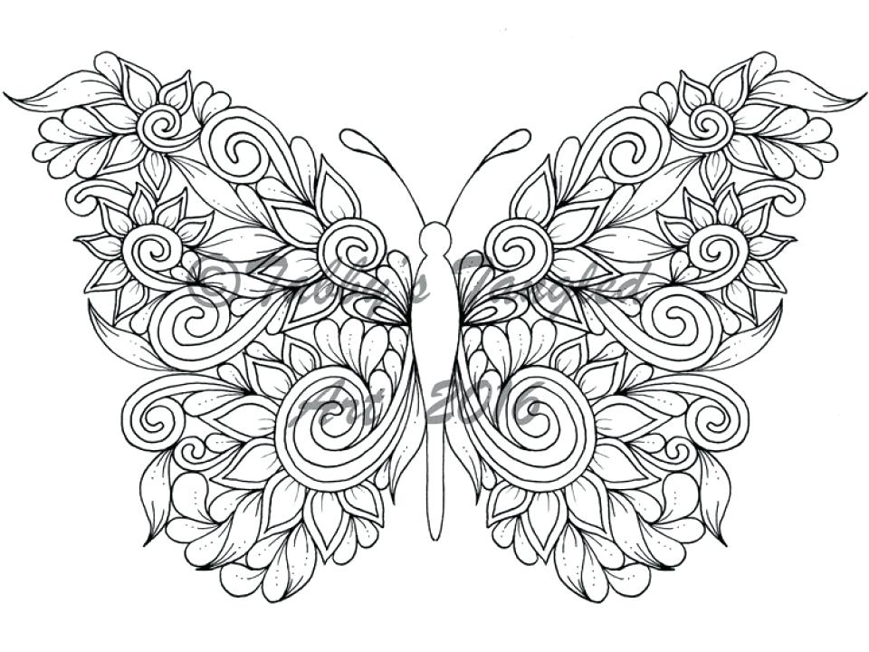 960x720 Butterflies Coloring Pages Print Printable Color Pages Butterflies