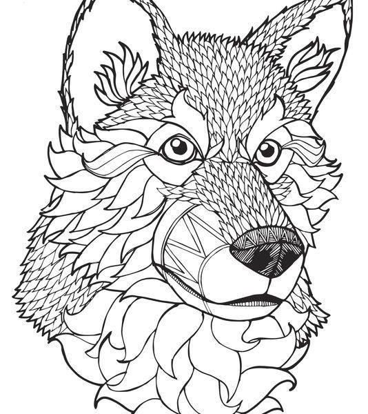 534x600 Free Wolf Coloring Pages Popular Trend Coloring Pages