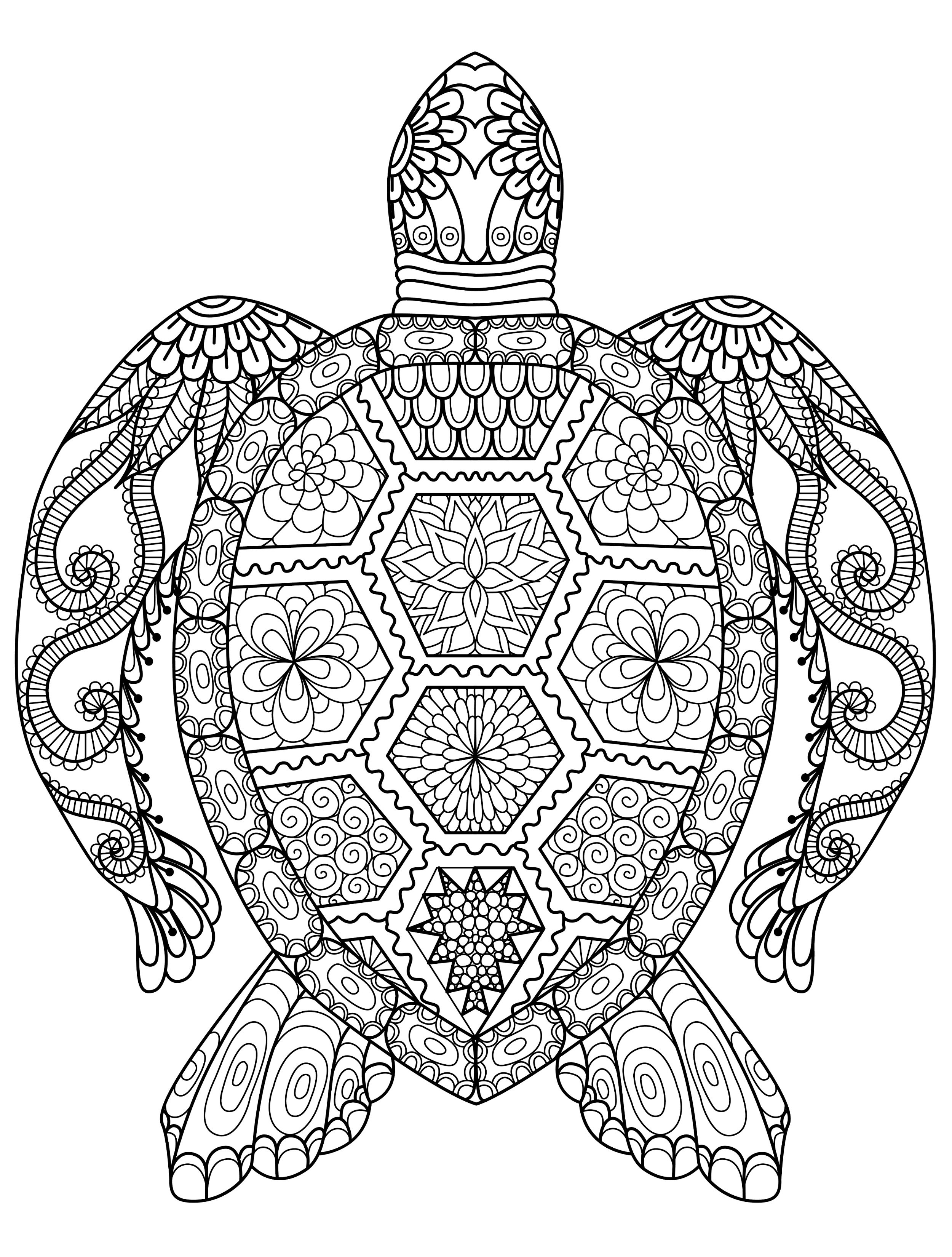2500x3300 Adult Anchor Animals Coloring Pages Printable