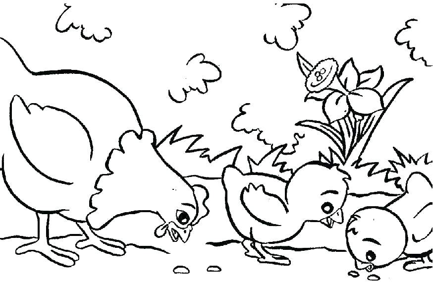 874x581 Baby Animal Coloring Pages Baby Animal Coloring Pages Printable