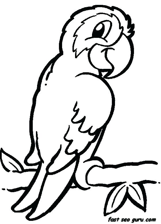 560x781 Zoo Animals Coloring Pages Printable Animal Coloring Pages