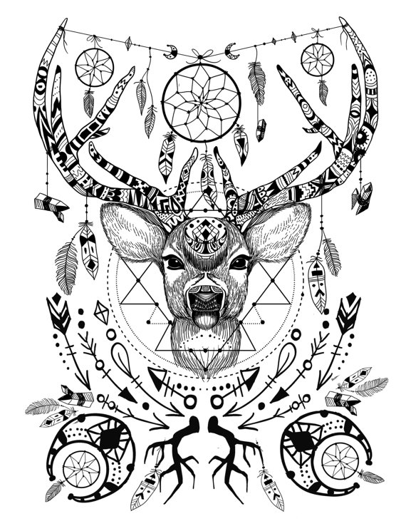 570x738 Wild And Free Spirit Animals