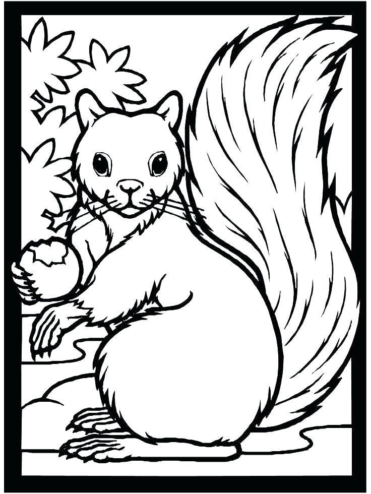 736x980 Free Fall Printable Coloring Pages Free Fall Printable Coloring