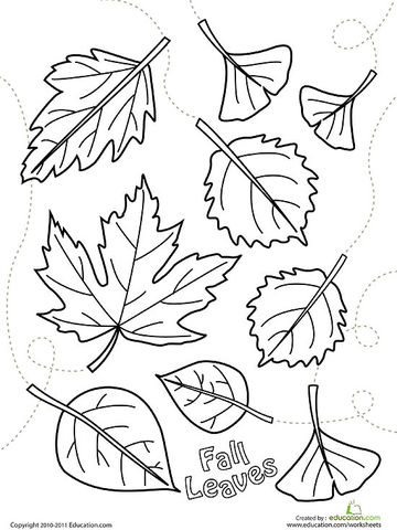 360x480 Printable Fall Coloring Pages