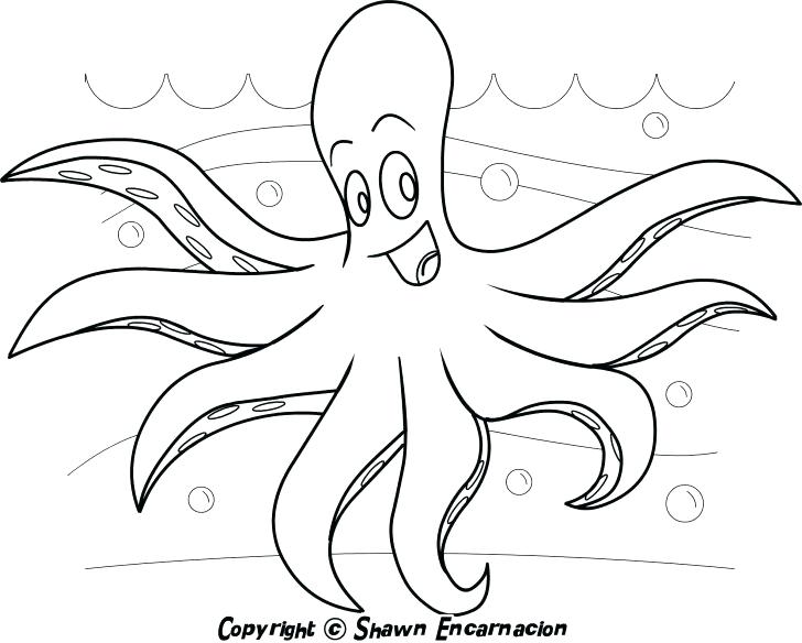 728x584 Cute Baby Animals Coloring Pages Animal Printable Download