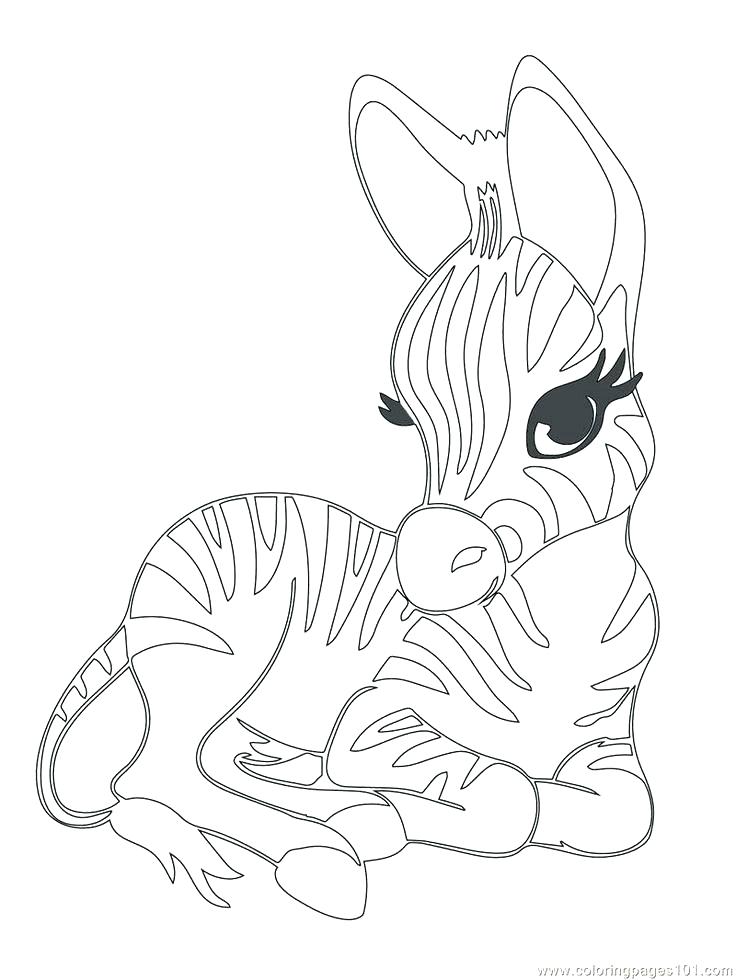 736x980 Baby Animal Coloring Pages Learning Friends Tiger Baby Animal