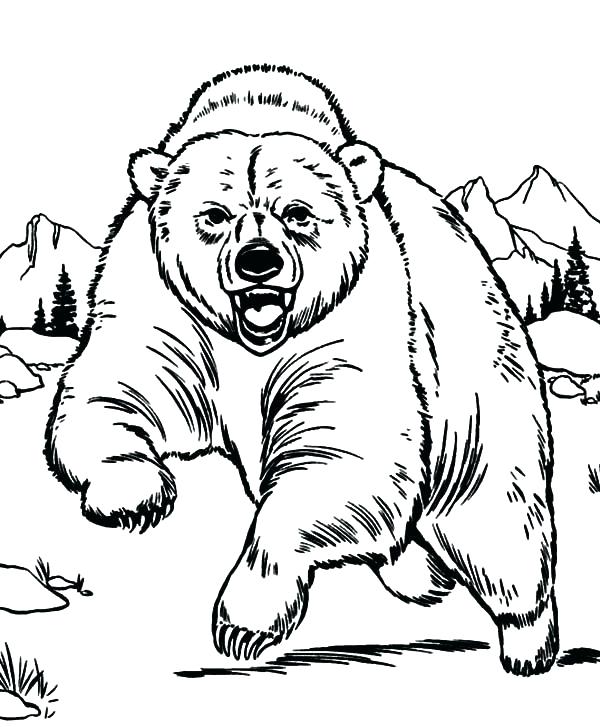 600x727 Free Printable Bear Coloring Pages Polar Bears Coloring Pages