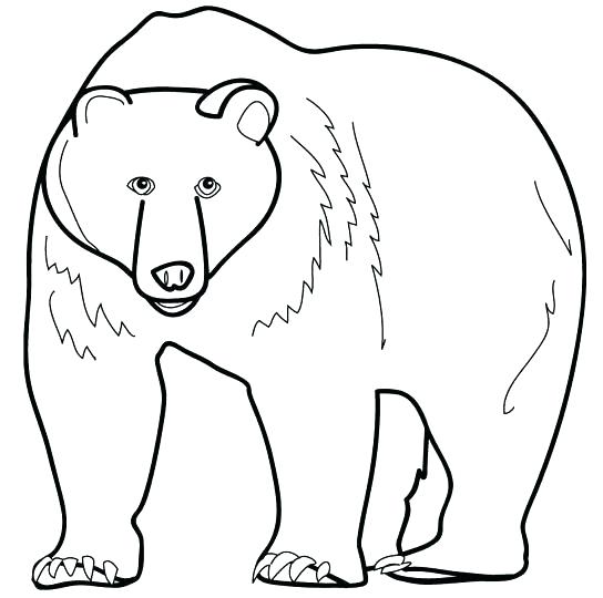 544x540 Printable Bear Coloring Pages Printable Coloring Page Coloring