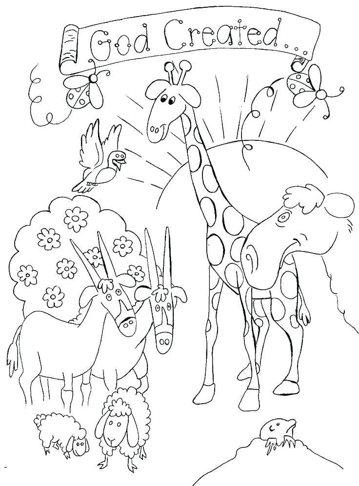 736x997 Bible Story Coloring Pages Printable Bible Coloring Pages Plus