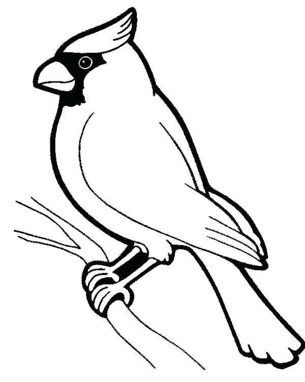 600x751 Angry Bird Coloring Pages Angry Bird Printable Coloring Pages Page