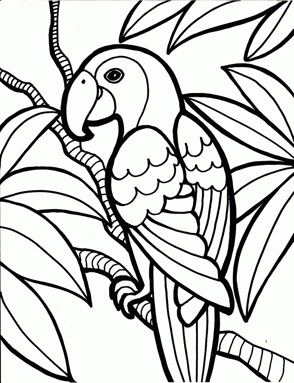 1000x1301 Shrewd Bird Color Sheet Free Printable Parrot