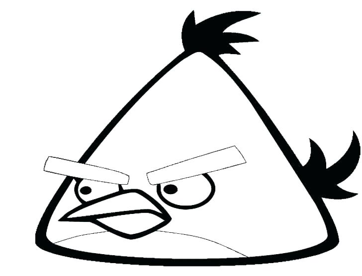 728x556 Printable Bird Coloring Pages