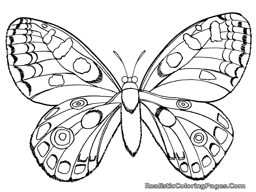 1024x768 Insect Coloring Pages Fresh Printable Bug Coloring Pages For Kids