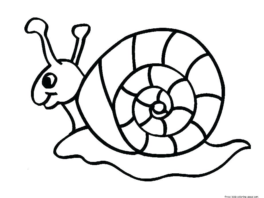 921x691 Insect Coloring Printable Turtle Pictures To Color Insects
