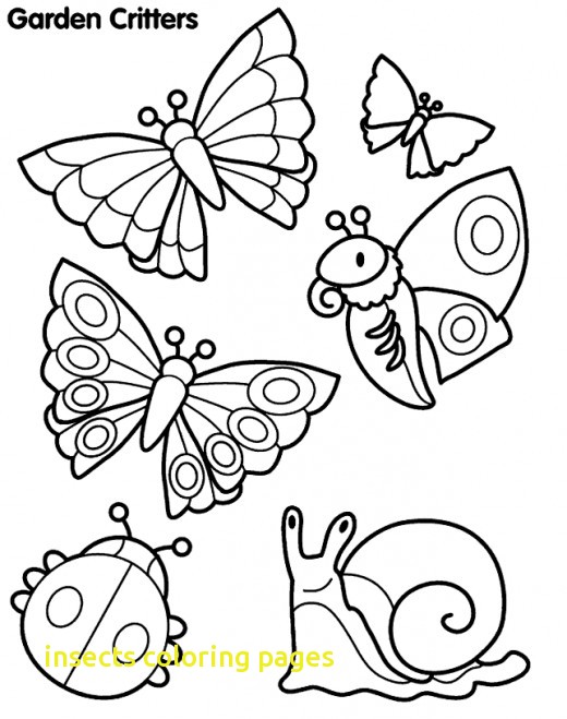 520x659 Insects Coloring Pages With 27 Coloring Pages Insects Free