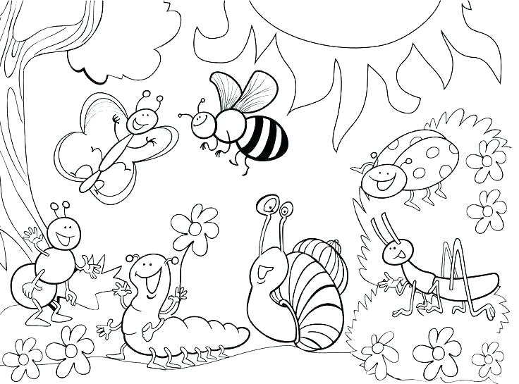 736x545 Bugs Coloring Pages Coloring Pages Bug Coloring Sheets Free