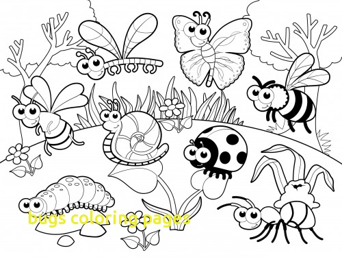 500x375 Bugs Coloring Pages With 27 Coloring Pages Insects Free Printable