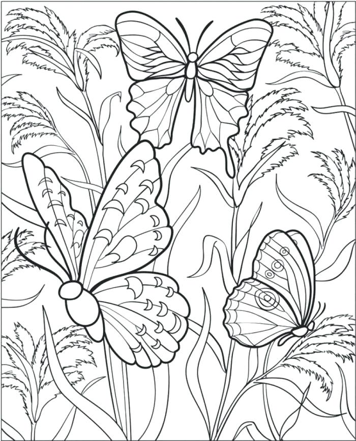 700x868 Flowers And Butterflies Coloring Pages Shippa.co