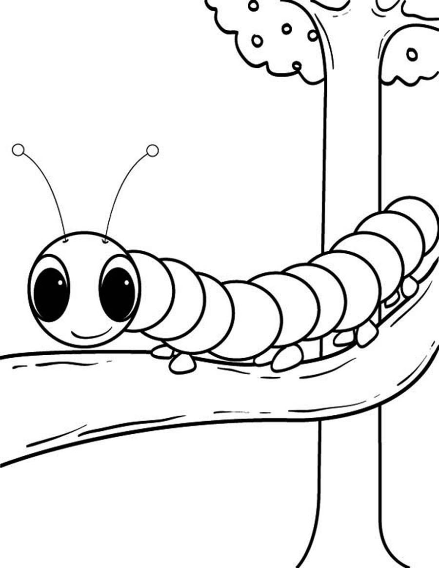 900x1164 Caterpillar Coloring Pages