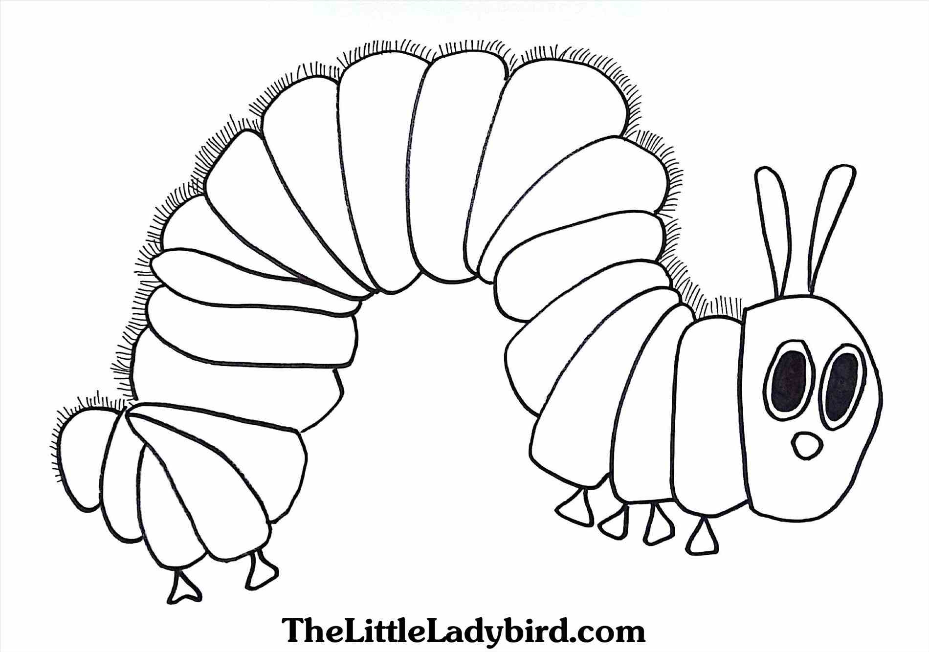 1900x1334 Caterpillar Coloring Pages Free New