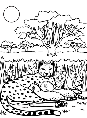 Printable Cheetah Coloring Pages
