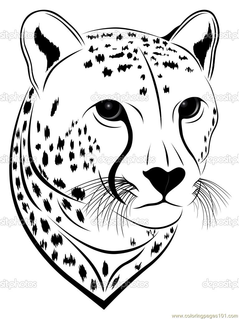 768x1024 Cheetah Face Coloring Page Printable